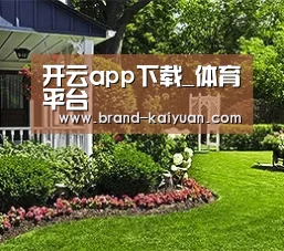 开云app下载_体育平台