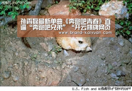 孙霄磊最新单曲《奔跑吧青春》直逼“奔跑吧兄弟”“开云棋牌网页版”(图3) 开元棋牌下载
