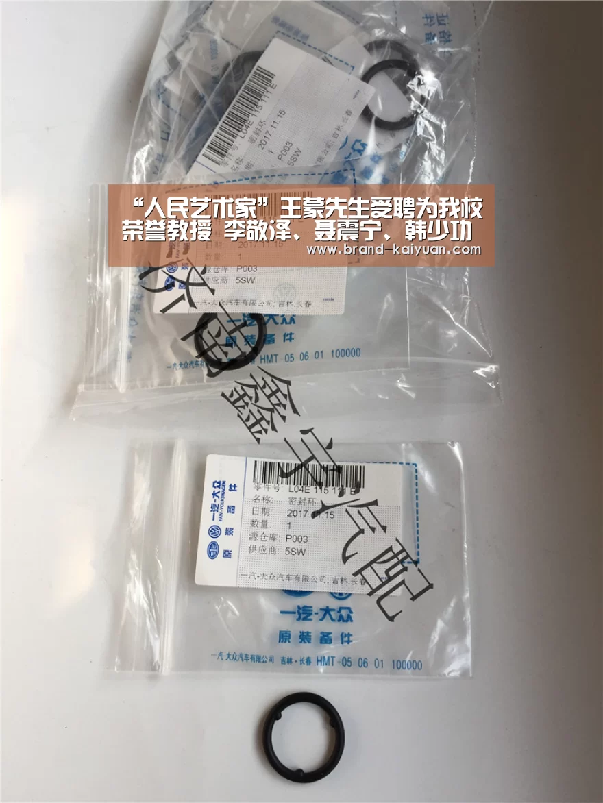 “人民艺术家”王蒙先生受聘为我校荣誉教授 李敬泽、聂震宁、韩少功受聘为我校客座教授-开元棋牌电脑版(图2) 开云棋牌网页版