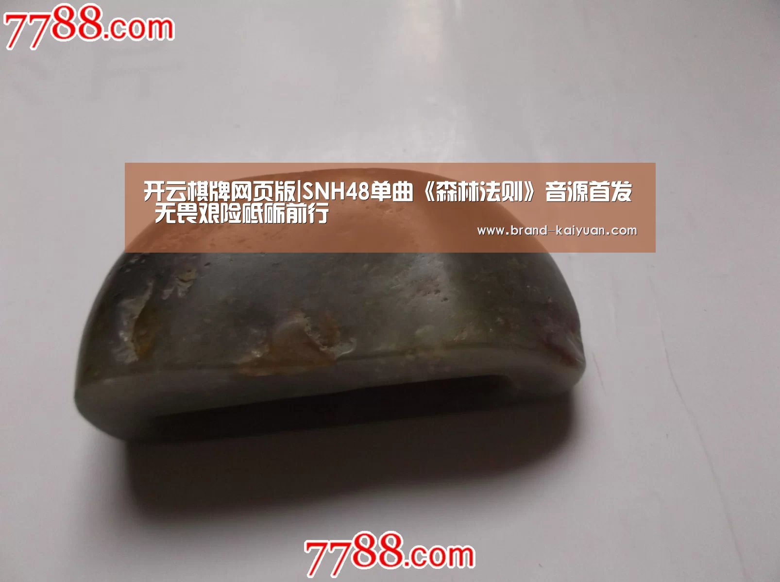 开云棋牌网页版|SNH48单曲《森林法则》音源首发 无畏艰险砥砺前行(图3) 开云棋牌网页版